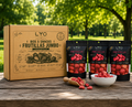 🍓LYO JUMBO BOX - FRUTILLA LIOFILIZADA 150GRS