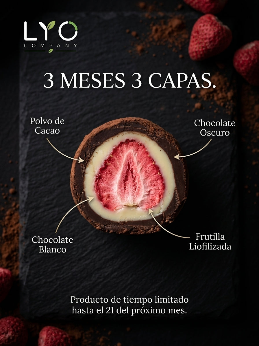 FRUTILLA LIOFILIZADA ENVUELTAS EN 3 CAPAS DE CHOCOLATE. 100 g.