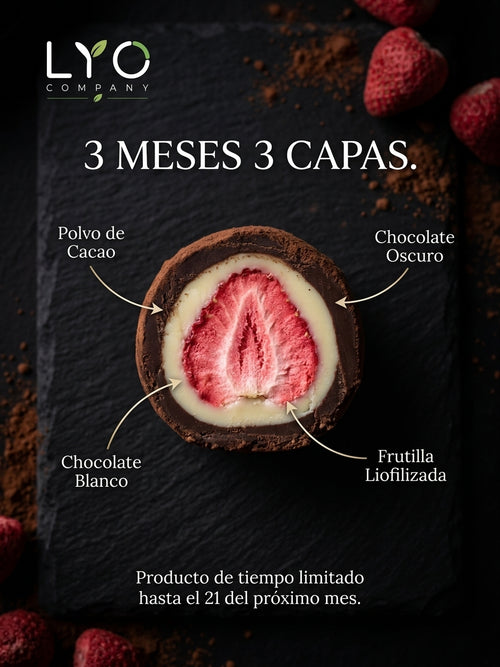 FRUTILLA LIOFILIZADA ENVUELTAS EN 3 CAPAS DE CHOCOLATE. 100 g.